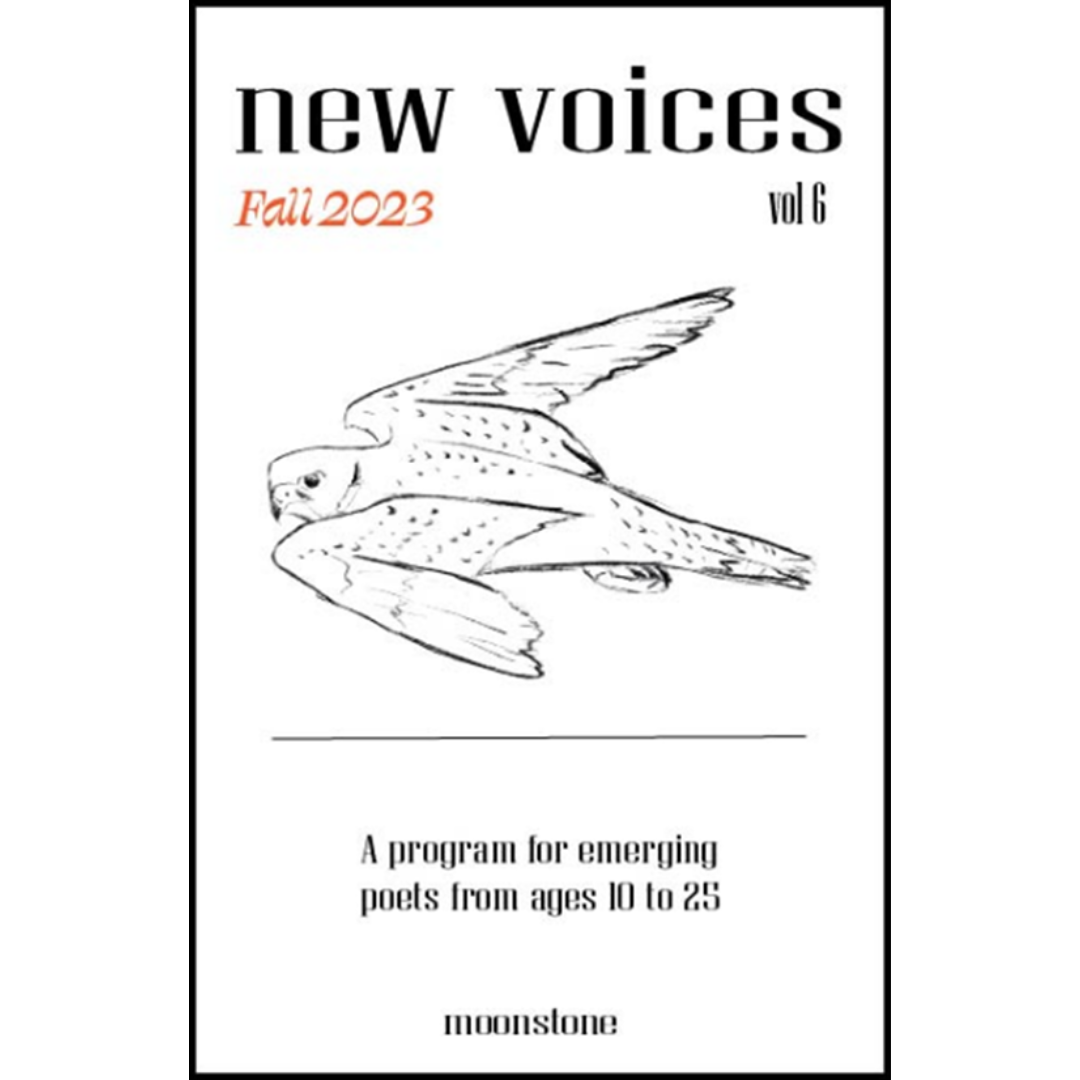 New Voices Fall 2023 | Moonstone Arts Center